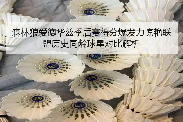 森林狼爱德华兹季后赛得分爆发力惊艳联盟历史同龄球星对比解析