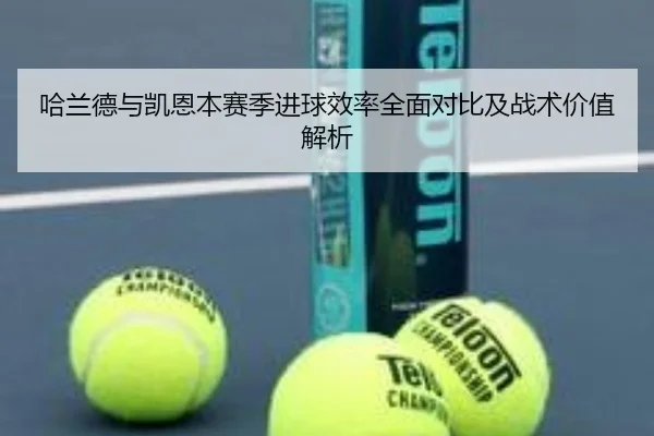 哈兰德与凯恩本赛季进球效率全面对比及战术价值解析